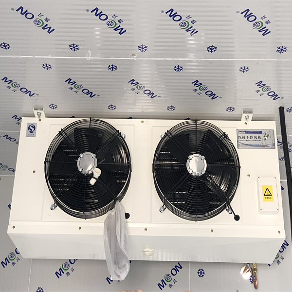 Enfriador de unidad de descarga dual con ventiladores para cámara frigorífica